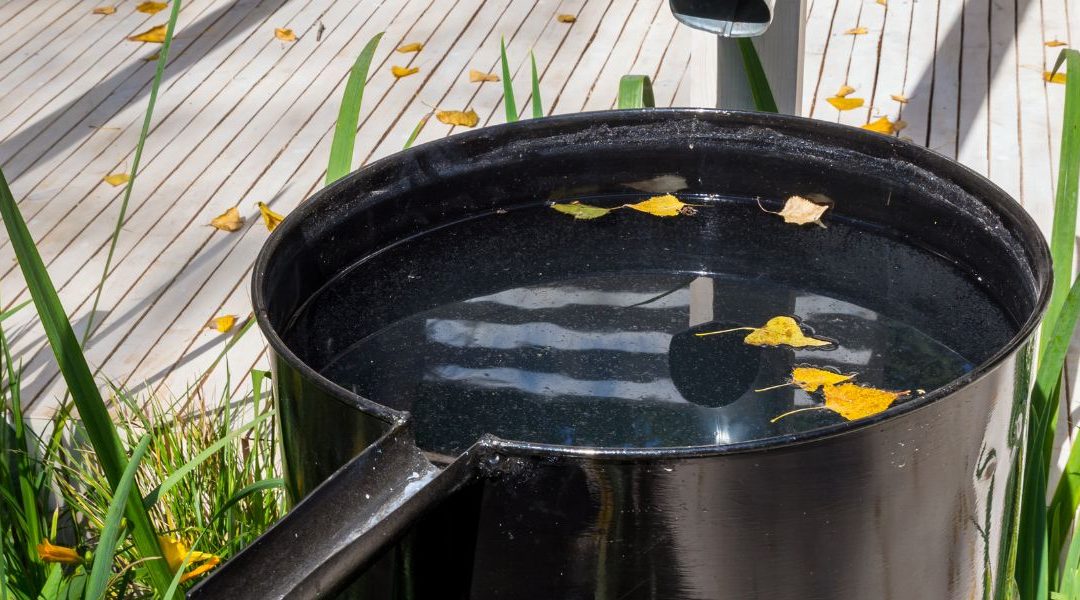 Intérêts d’une pompe pour eau de pluie ?